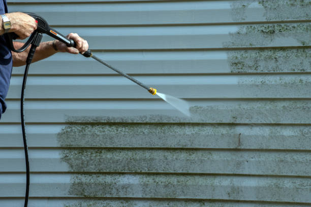 Best Vinyl Siding Pressure Washing in Frenchtown, MT